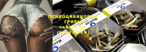 молекула духа Россошь