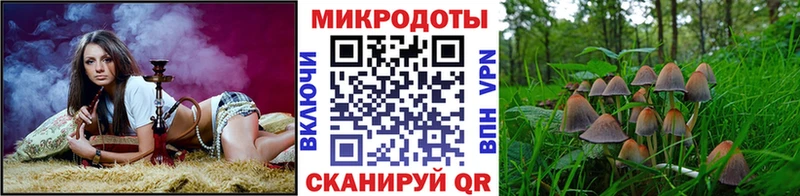 Галлюциногенные грибы Psilocybe  наркотики  Сретенск 